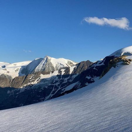 Hotel Grand-Combin Fionnay Dış mekan fotoğraf