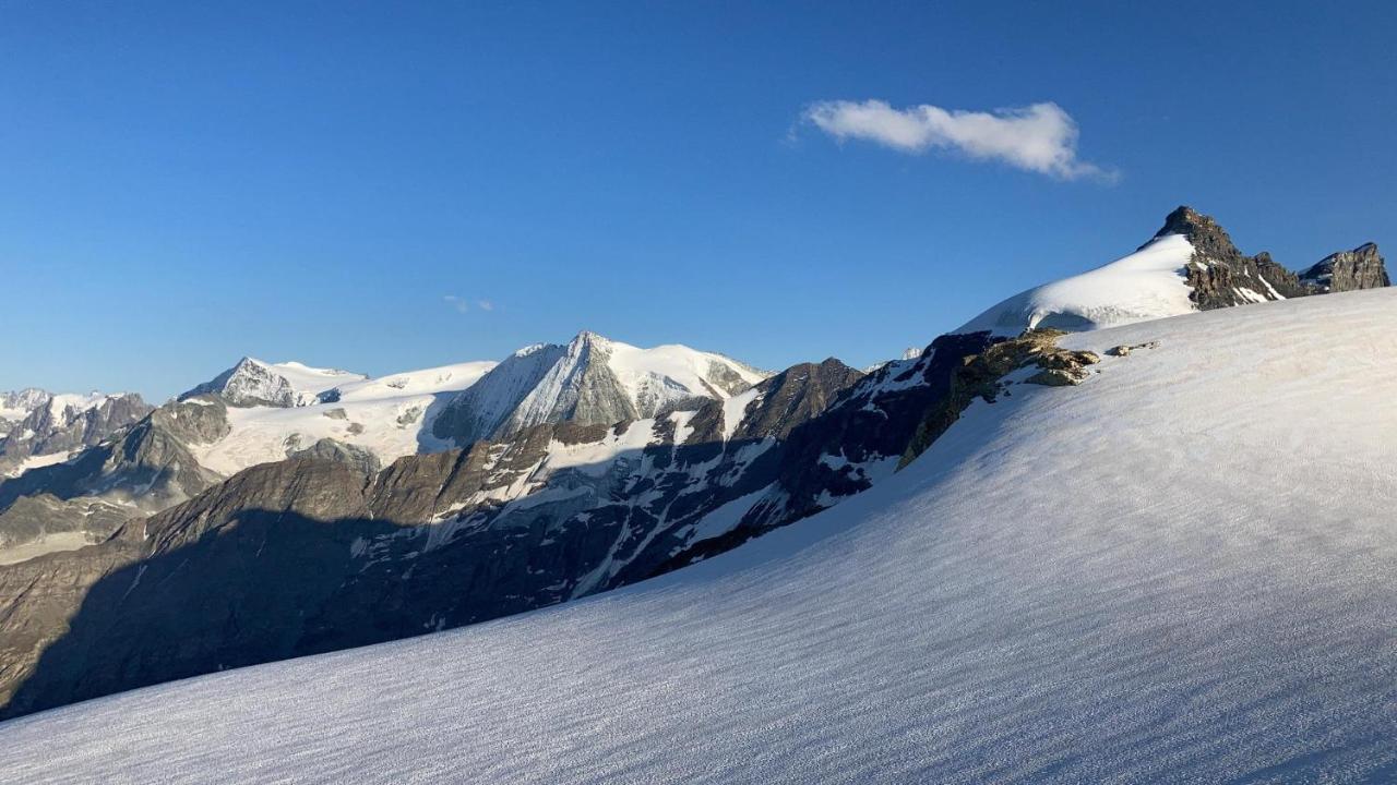 Hotel Grand-Combin Fionnay Dış mekan fotoğraf