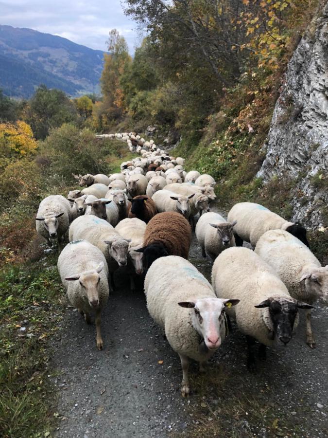 Hotel Grand-Combin Fionnay Dış mekan fotoğraf