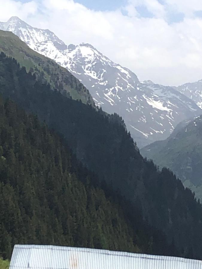 Hotel Grand-Combin Fionnay Dış mekan fotoğraf